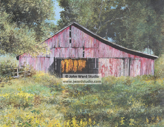 Red Tobacco Barn by John L. Ward www.jwardstudio.com