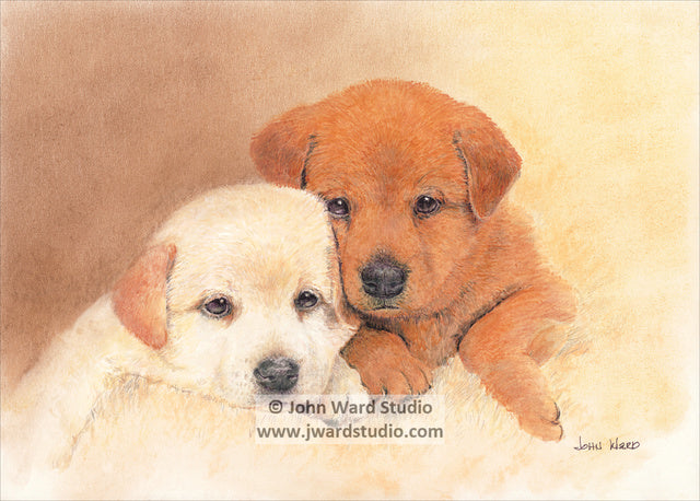 Snuggle Babies by John Ward www.jwardstudio.com dog lab puppies